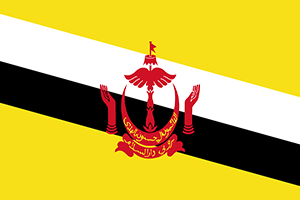 Spedire in Brunei