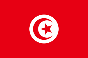 Spedizioni Mar Mediterraneo - Spedire in Tunisia